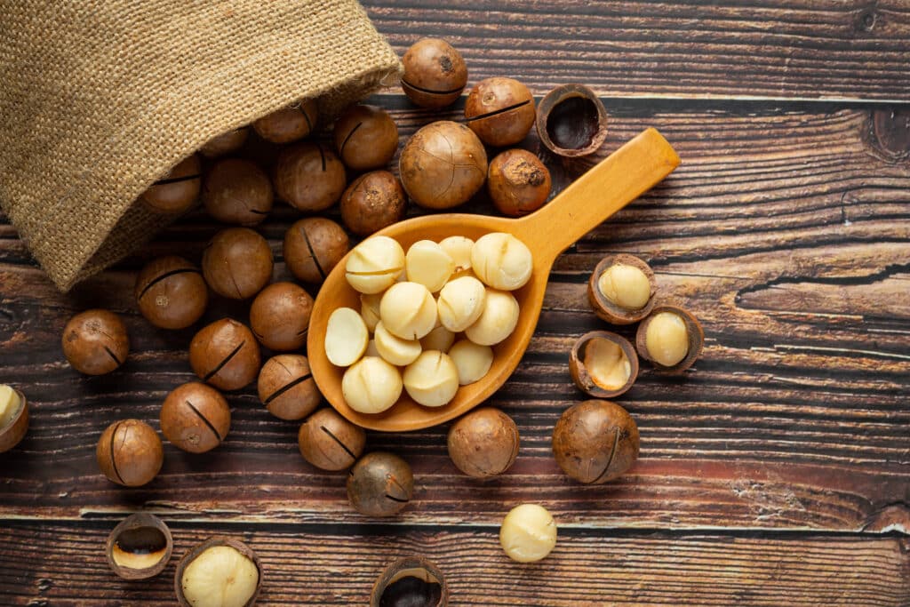 Kacang Macadamia