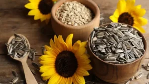 sunflower seed